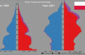 Sytuacja demograficzna Polski