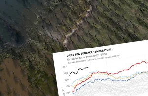 Nowy rekord temperatury. Oceany rozgrzane jak nigdy w historii ludzkości