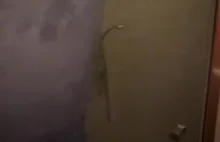 Patodeveloperka final boss