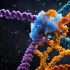 Odkryto nową metodę edycji DNA