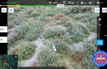 Kobieta odnaleziona przy pomocy drona