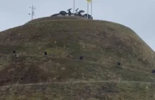 Grzegorz Braun usunął flagę ukrainy z kopca Kościuszki