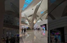 Polskie krówki na lotnisku w Abu Dhabi