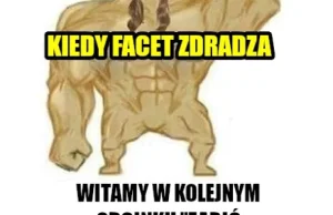 Solidarność jajników vs walka o alfę