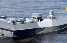 Wybuchowe Moskity kontra Flota Czarnomorska. Drony morskie to sposób na Rosję?