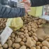 Polska z zakazem sprzedaży ziemniaków do UE. „To przestępstwo"