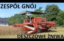 Zespół Gnój - DESZCZOWE ŻNIWA / DISCO W POLU 2023