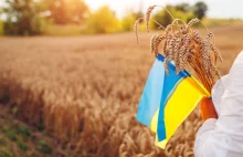 Ukraina nadal nie wycofała skargi na Polskę, którą złożyła do WTO? Spór o zboże