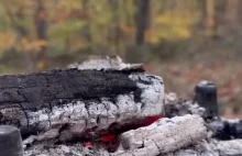 Kanapka z wołowiną na bogato