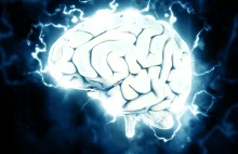 Mózg współczesnego człowieka uległ skurczeniu! Naukowcy winią społeczeństwo