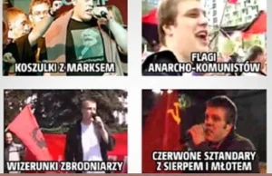 Zandberg ujada na polskich patriotów, nazywając ich faszystami.
