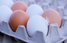 Jak wybrać jajka, żeby były świeże? - KulinarnyBlog.pl