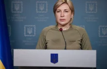 Wicepremier Ukrainy chce sojuszu z Polską. "Inaczej nie pokonamy Rosji"