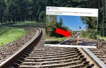 Niebezpieczny incydent w Małopolsce. Pociąg jechał prosto na grupę dzieci z rowe