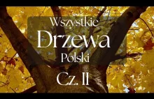 Wszystkie Drzewa Polski cz. II - Prezentacja Gatunków
