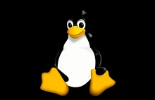 Linux - nauka i codzienna praca - Porozmawiajmy o IT
