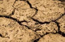 Argentyna: potężna susza niszczy finanse kraju. Ucierpiał Spichlerz Ameryki