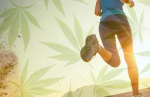 Haj biegacza: Naturalna droga do „haju” bez użycia marihuany