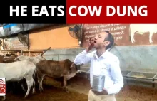 Indie: Lekarz poleca jeść kupkę świętej krowy dla kobiet w ciąży