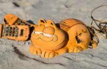 Telefony Garfield od 35 lat zalewają plażę w Bretanii