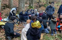 Nielegalni migranci ukrywali się w masywie leśnym przy granicy ze Słowacją
