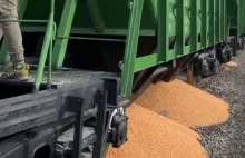 Wku***eni rolnicy wysypali ukraińską kukurydzę z wagonów w Medyce