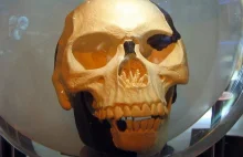 Wielkie kłamstwa historii fake newsy istniały także dawno temu | Wolne myśli