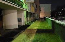 Posypali chodniki chlorem basenowym zamiast solą. Prawie mdleliśmy w pracy.