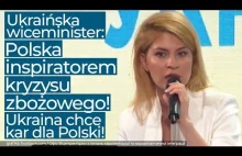 Ukraińska wiceminister: Polska inspiratorem kryzysu