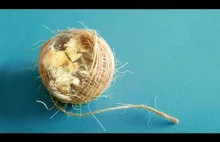 Planetarna inteligencja i przyszłość gatunku: 3 scenariusze [Łukasz Lamża]