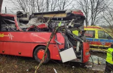 Autobus szkolny uderzył w drzewo. Poważny wypadek pod Szamotułami - WP Wiadomośc