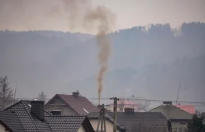 Koniec Czystego Powietrza? Rząd zawiesza program. "Skandaliczny pomysł"