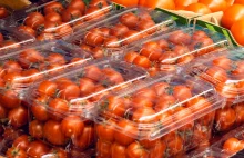 Pomidorki koktajlowe sieją spustoszenie w szkołach. Ofiarą 132 uczniów i 7 naucz