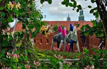 Ogrody Królewskie na Wawelu otworzyły się dla zwiedzających