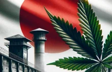 Padła rekordowa liczba aresztowań za marihuanę w Japonii
