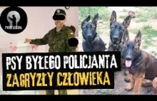 Psy zagryzły człowieka. Miały trafić do policji?