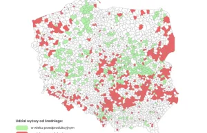Demografia a zasoby pracy: rozkład społeczno-ekonomicznych grup wieku w Polsce