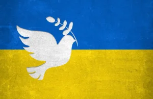 Wojna na Ukrainie. Jak pomagają prywatni detektywi? – Dobry detektyw Warszawa