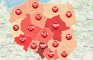 W Polsce wycięto blisko 300-letnie drzewa. Władza tłumi protesty