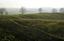 Gospodarstwo na sprzedaż za 11 mln zł. Ziemia, zabudowania i maszyny czekają na