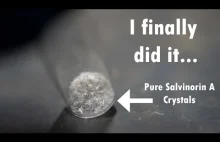 "Finally extracting pure Salvinorin A crystals so I never have to do it again"