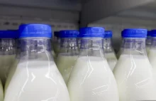 Upadek kultowej mleczarni. Wszyscy pracownicy zwolnieni