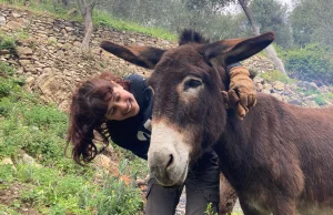 WWOOF – praca w eko gospodarstwie we Włoszech za nocleg i wyżywienie