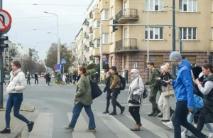 Praktyki za dobre słowo, staż za głodową stawkę. Nadal oczekuje się pracy