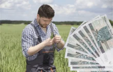 Przetarg na agroport w Gdańsku odwołany!