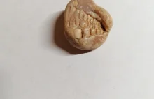 Znalezisko. Co to za kamień?