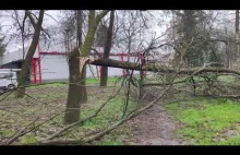 Połamane drzewa w Krakowie