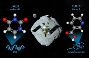 W próbkach z asteroidy znaleziono fragment wchodzący w skład RNA i witaminę B3