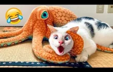 Funny Animal videos ???? Eight Minutes of funniest pet clips: Try Not to La...