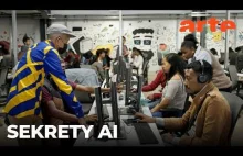 Madagaskar: 80EUR miesięcznie za trenowanie AI